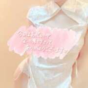 ヒメ日記 2026/03/22 10:12 投稿 おとは 無我（むが）