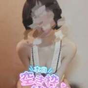 ヒメ日記 2026/03/29 09:49 投稿 おとは 無我（むが）