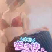 ヒメ日記 2026/04/03 10:04 投稿 おとは 無我（むが）