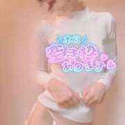 ヒメ日記 2026/04/03 11:30 投稿 おとは 無我（むが）