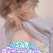 ヒメ日記 2026/04/05 08:35 投稿 おとは 無我（むが）