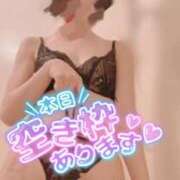 ヒメ日記 2026/04/17 10:10 投稿 おとは 無我（むが）