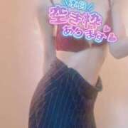 ヒメ日記 2026/04/17 11:37 投稿 おとは 無我（むが）