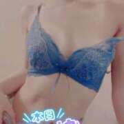 ヒメ日記 2026/05/15 11:31 投稿 おとは 無我（むが）