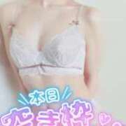 ヒメ日記 2026/05/23 11:45 投稿 おとは 無我（むが）