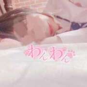 ヒメ日記 2026/06/15 21:01 投稿 おとは 無我（むが）