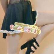 ヒメ日記 2026/06/24 07:25 投稿 おとは 無我（むが）