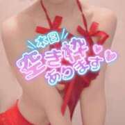 ヒメ日記 2026/06/28 11:37 投稿 おとは 無我（むが）