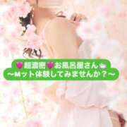 ヒメ日記 2025/04/16 15:18 投稿 うみ ルージュ(会津若松)