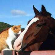 ヒメ日記 2024/12/15 18:49 投稿 すずな 豊満奉仕倶楽部