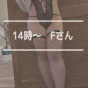 ヒメ日記 2025/02/20 13:19 投稿 すずな 豊満奉仕倶楽部