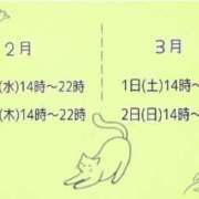 ヒメ日記 2025/02/25 00:59 投稿 すずな 豊満奉仕倶楽部