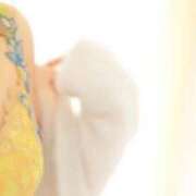 ヒメ日記 2025/03/05 09:51 投稿 しおり 21世紀