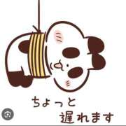 ヒメ日記 2025/08/16 09:41 投稿 しおり 21世紀