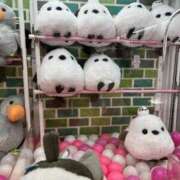 ヒメ日記 2025/01/15 18:41 投稿 そよか 21世紀