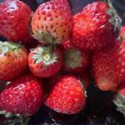 ヒメ日記 2025/03/05 15:51 投稿 そよか 21世紀