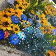 ヒメ日記 2025/06/13 15:21 投稿 そよか 21世紀