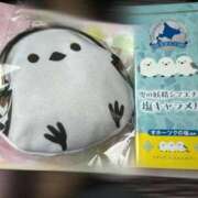ヒメ日記 2025/09/01 13:21 投稿 そよか 21世紀