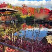 ヒメ日記 2025/11/04 17:31 投稿 そよか 21世紀