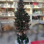 ヒメ日記 2025/12/20 09:41 投稿 そよか 21世紀