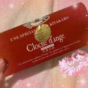 ヒメ日記 2026/03/31 13:01 投稿 そよか 21世紀