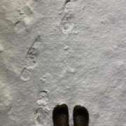 ヒメ日記 2025/03/03 17:56 投稿 いつか 21世紀