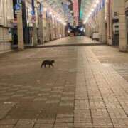 ヒメ日記 2025/04/24 13:51 投稿 いつか 21世紀