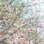 ヒメ日記 2025/05/08 14:51 投稿 いつか 21世紀
