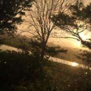 ヒメ日記 2025/08/13 20:51 投稿 いつか 21世紀