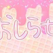 ヒメ日記 2025/09/18 00:41 投稿 いつか 21世紀