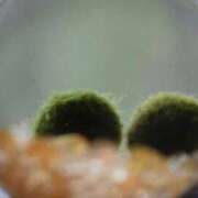 いつか 😔🌀 21世紀