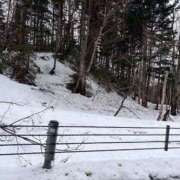 ヒメ日記 2026/04/22 19:14 投稿 いつか 21世紀