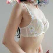 ヒメ日記 2024/12/17 07:27 投稿 みみ 奥鉄オクテツ東京店（デリヘル市場）