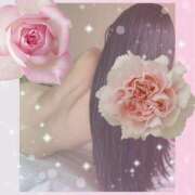 ヒメ日記 2025/06/06 12:05 投稿 みみ 奥鉄オクテツ東京店（デリヘル市場）