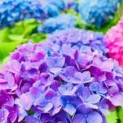 ヒメ日記 2025/06/10 12:18 投稿 みみ 奥鉄オクテツ東京店（デリヘル市場）