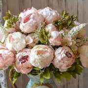 ヒメ日記 2025/06/15 11:23 投稿 みみ 奥鉄オクテツ東京店（デリヘル市場）