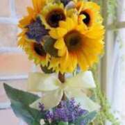 ヒメ日記 2025/06/28 10:50 投稿 みみ 奥鉄オクテツ東京店（デリヘル市場）