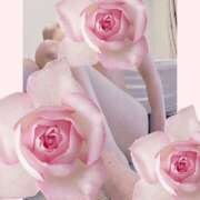 ヒメ日記 2025/07/29 09:01 投稿 みみ 奥鉄オクテツ東京店（デリヘル市場）