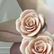 ヒメ日記 2025/09/09 05:27 投稿 みみ 奥鉄オクテツ東京店（デリヘル市場）