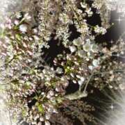 あかり 🌱 いまーす 🌱 21世紀