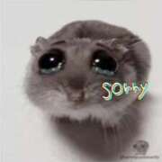 ヒメ日記 2025/01/09 19:02 投稿 きおと 21世紀