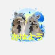 ヒメ日記 2025/05/14 08:51 投稿 きおと 21世紀