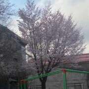 ヒメ日記 2026/04/22 19:11 投稿 きおと 21世紀