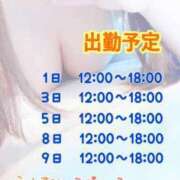 ヒメ日記 2024/02/28 16:10 投稿 さとみ 新横浜ちゃんこ