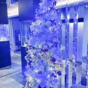 ヒメ日記 2024/12/11 02:29 投稿 ひかり ファーストレディ(博多)