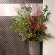 ヒメ日記 2025/01/01 18:24 投稿 ひかり ファーストレディ(博多)