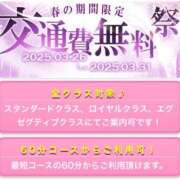 ヒメ日記 2025/03/27 11:45 投稿 ひかり ファーストレディ(博多)