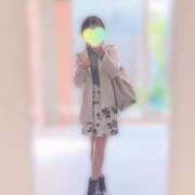 ヒメ日記 2025/11/18 07:38 投稿 ひかり ファーストレディ(博多)