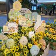 ヒメ日記 2025/10/14 10:19 投稿 いおり 梅田アバンチュール