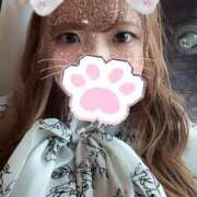 ヒメ日記 2024/12/10 07:45 投稿 あんず ナチュラルプリンセス